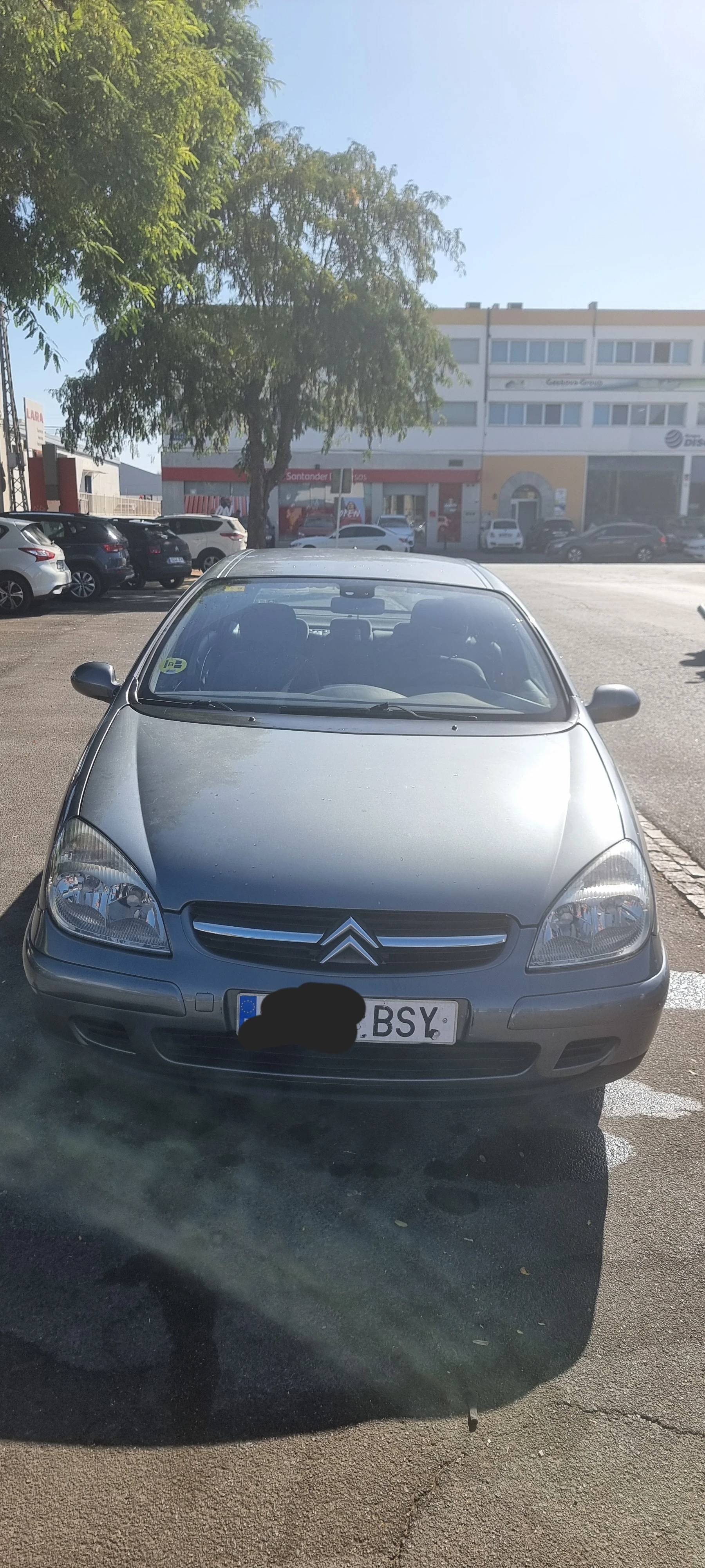Imagen del coche